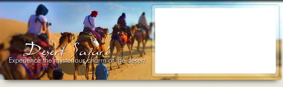 Rajasthan Camel Safari